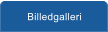 Billedgalleri